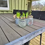Unobstructed Summer House In Lovely Langeland Holiday home